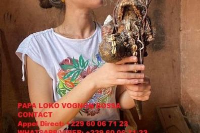 services_propositions_d_affaires Anonyme  